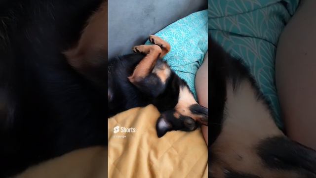 Тебе удобно?!)))