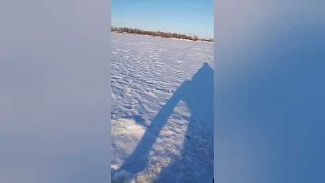 рыбалка выходного дня
