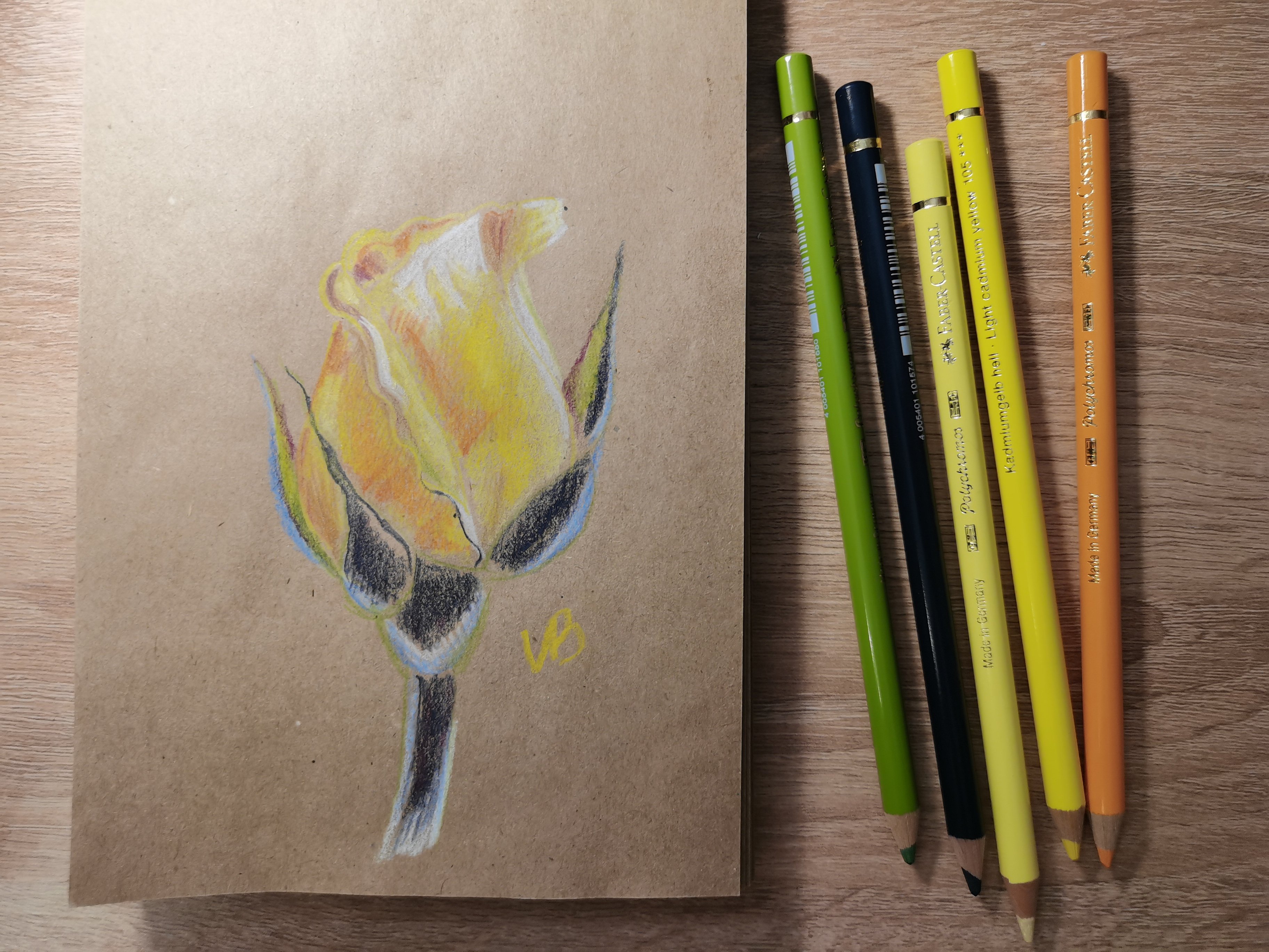 Желтая роза цветными карандашами || Учимся Рисовать