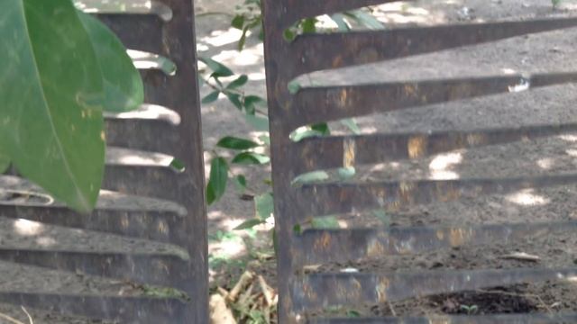 Из чего делать забор??