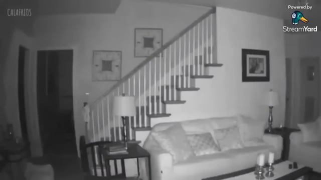 Calafrios e Videos Assustadores - Investigações Paranormais e Entidades Macabras