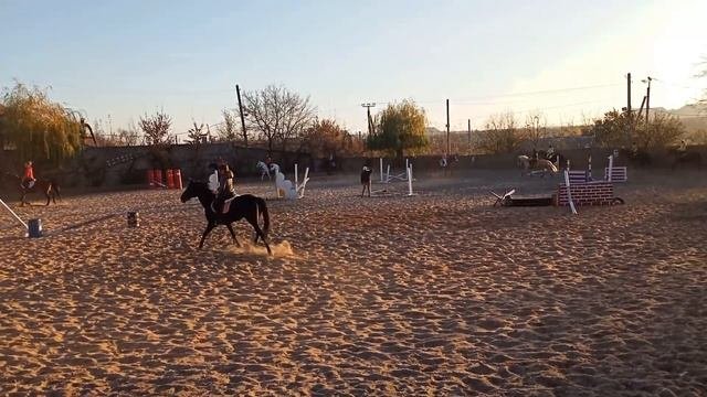 Занятие конным спортом в группе