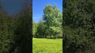Красивая Москва. В парке имени Юрия Лужкова