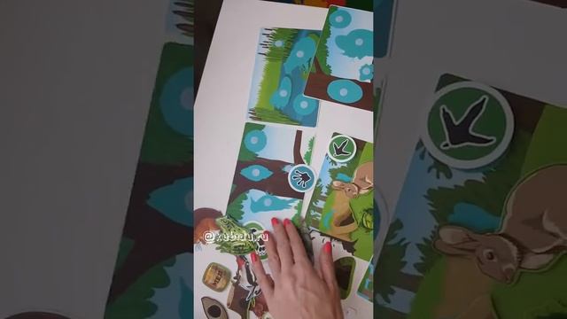 Умные липучки Лесные животные Pic'nMix