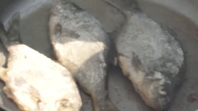Жарка рыбы в походных условиях  Ладога   шхеры