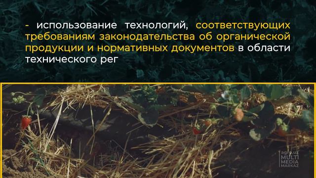 ЧТО ТАКОЕ ОРГАНИЧЕСКАЯ ПРОДУКЦИЯ? ВСЕ ЛИ ВЫРАЩЕННОЕ БЕЗ ХИМИИ СЧИТАЕТСЯ ОРГАНИЧЕСКОЙ ПРОДУКЦИЕЙ?