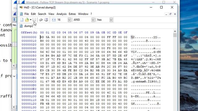 Advanced Wireshark Network Forensics - Part 2/3