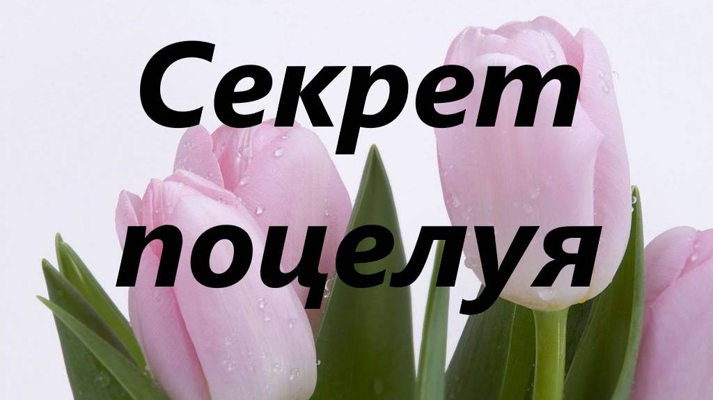 Секрет поцелуя