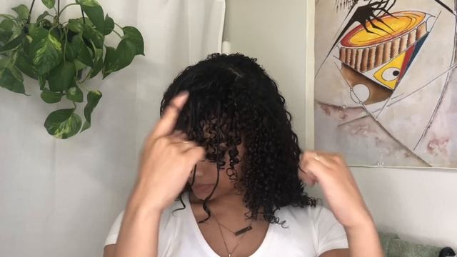 How To: Style, Diffuse, Refresh Curly Hair