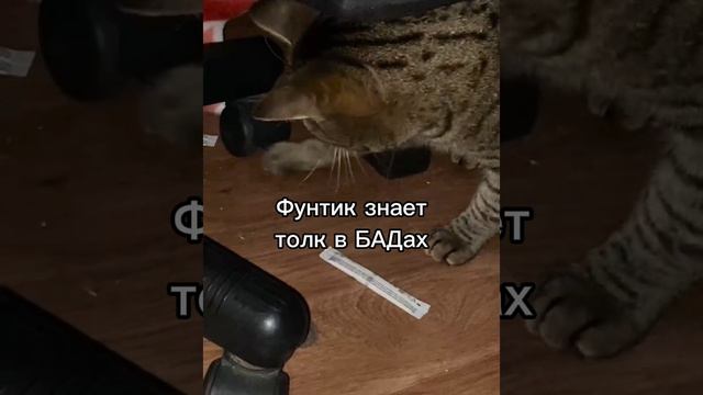 Мой внук и магний)