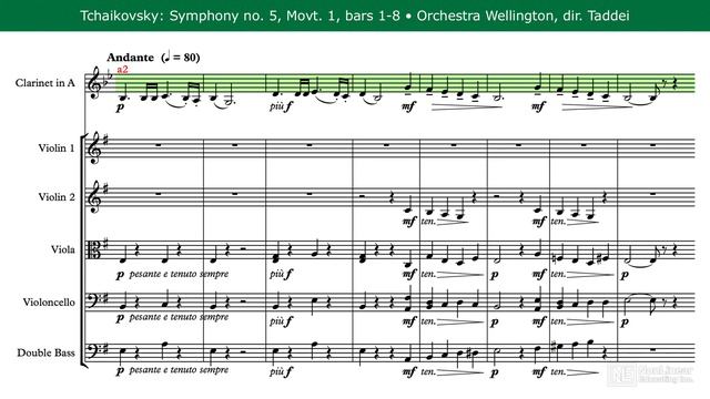 1. Studying Clarinets, Saxophones, & Bassoons