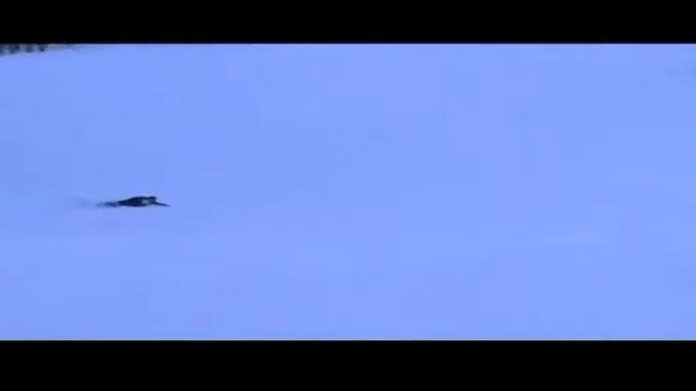 Alby S (Palagano-Mo) In Extreme Carving 2 - Snowboard Hard