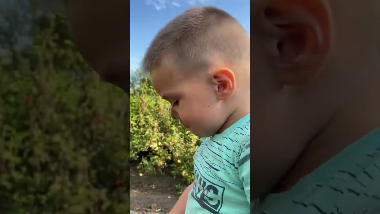 Упал в землЮ