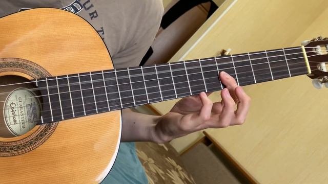 Epiphone EN-10NA