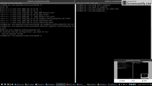 06.- Tutorial parte 1 ISPConfig crear un virtual y certificarlos con letsencrypt?