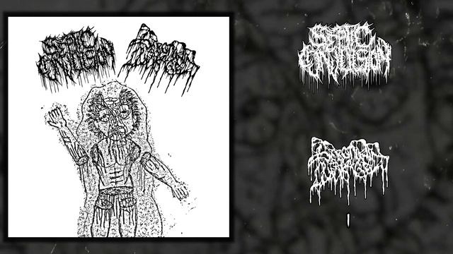 Septic Convulsion / Serotonin Leakage - split MC/CDr FULL ALBUM (2020 - Goregrind / Gorenoise)