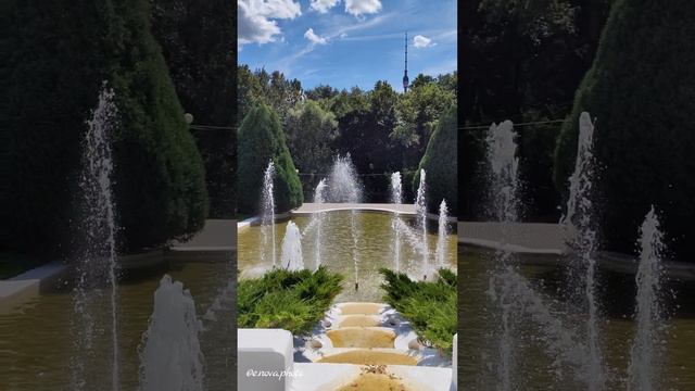 Ботанический сад, розарий