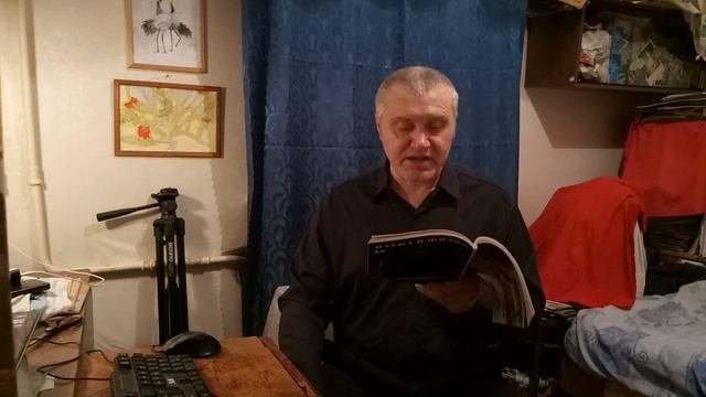 В объективе   семейство врановых
