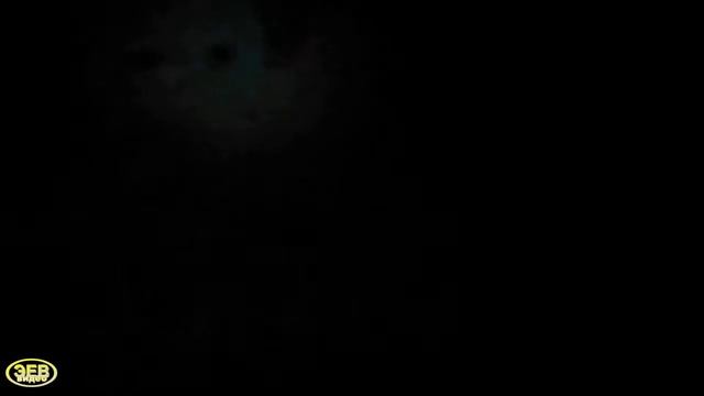 Вот таких лещей мы ловим на Волге! (Часть 1)