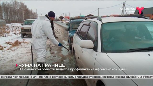 Чума на границе / Тюменская область
