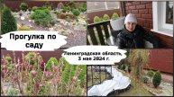 Прогулка по саду. (Ленинградская область, 3 мая 2024 г.)