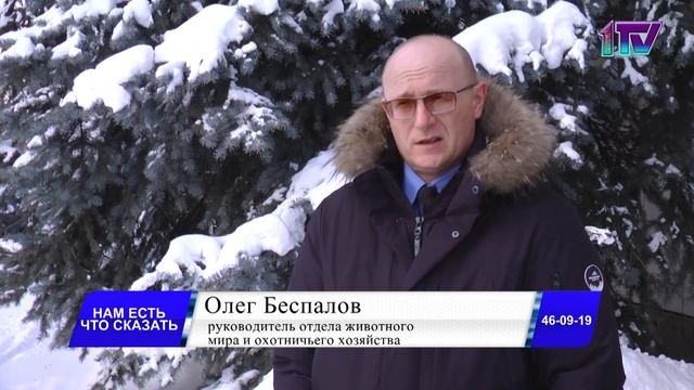 13.01.23. Российские косули мигрировали в Казахстан: животные заходят в населенные пункты