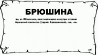 БРЮШИНА - что это такое? значение и описание