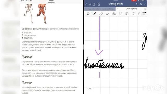 Оформляю конспект на iPad 8 Учусь на iPad Дистанционное обучение