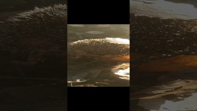 VID_20221027_141205.mp4
