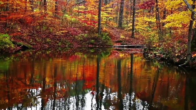 Autumn Jazz  Smooth Jazz Saxophone Music for Staying Cozy and Keeping Warm