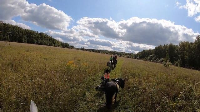 Падение с Шекспира
