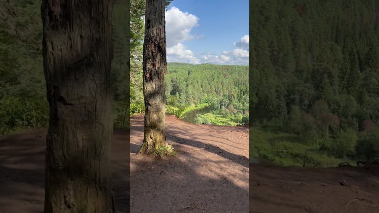 На природе #nature #природа
