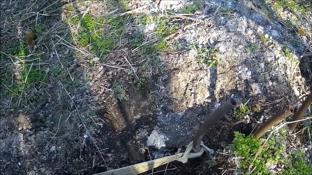 Первый металлокоп.  Стоит ли копать.