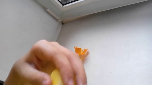Цветы из боченков Kinder