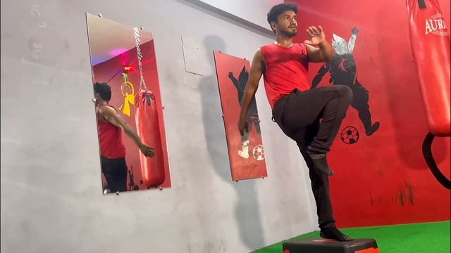 Step Up Cross Kick || Cardio Workout | Stepper Workout | INSCULPT