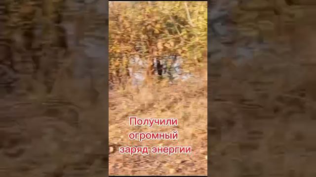 Сделаем город чище
