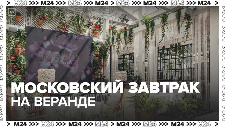 К "Московскому завтраку на веранде" присоединились 750 заведений - Москва 24