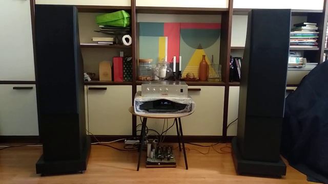 Колонки Два Товарища Акустика Князев Кnyazev