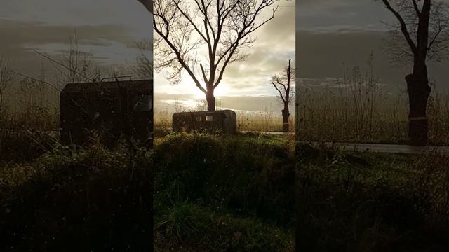 искусство света в природе