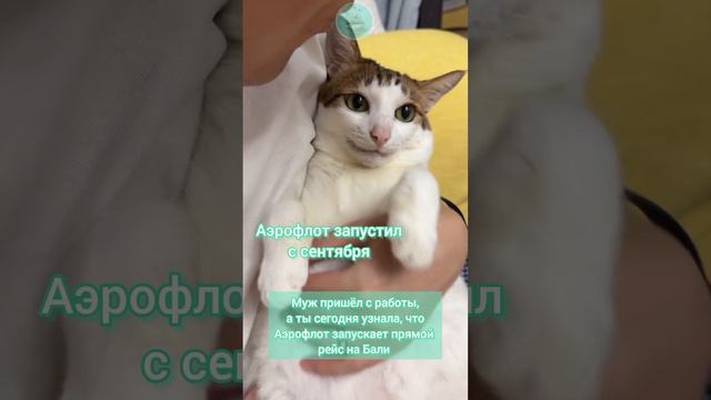 Аэрофлот запускает прямой рейс на Бали!