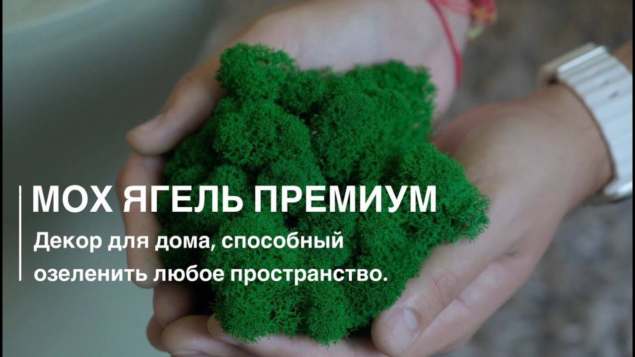 Обзор ягель премиум компании GREENERY