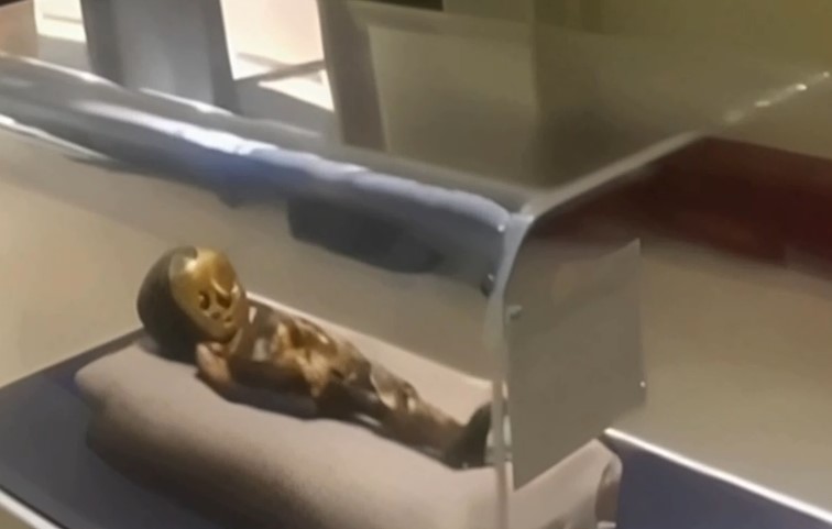 Мумия звездного младенца

Мумифицированное существо времен Римской империи, покрытое золотом, находи