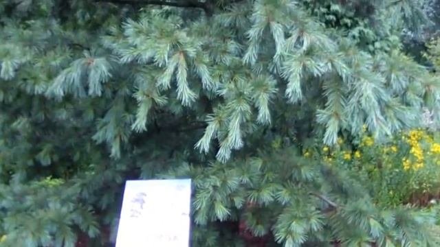 Ботанический сад в Праге - Botanická Zahrada