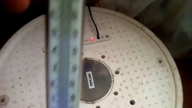 Вывод гусят из инкубатора