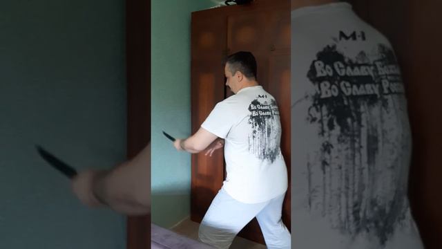 Группа СНБ "Бойцовые Коты" г.Новокузнецк, домашняя тренировка упражнение крест
