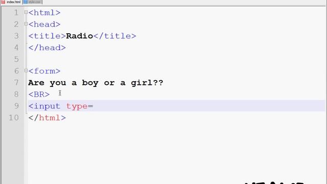 HTML4Fun - RadioCheck