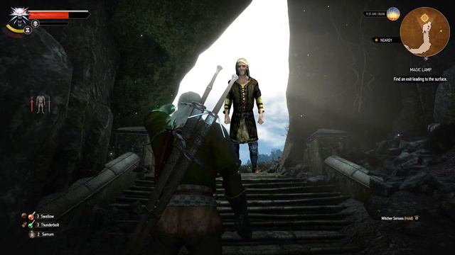 Nobody hides from the Skyrim Courier | The Witcher 3: Wild Hunt