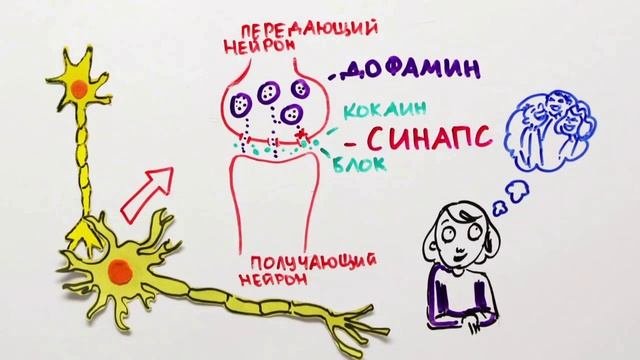 Как работают наркотики