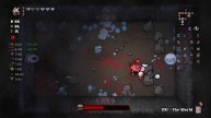ICESTONE! - The Binding Of Isaac: Repentance #174