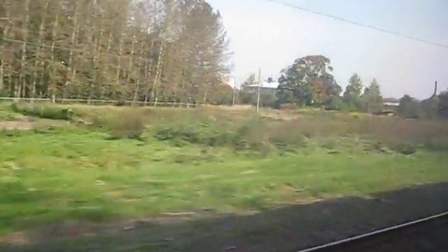 Дворец в Озерках Новых